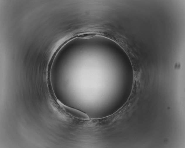 X0000112060148200908041223