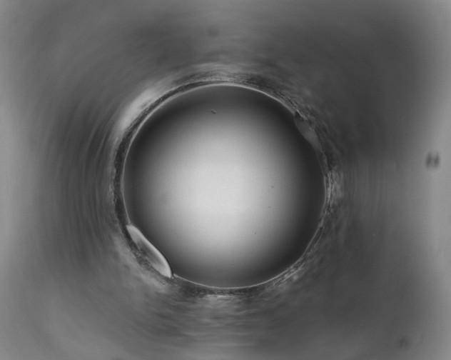 X0000112060150200908041223