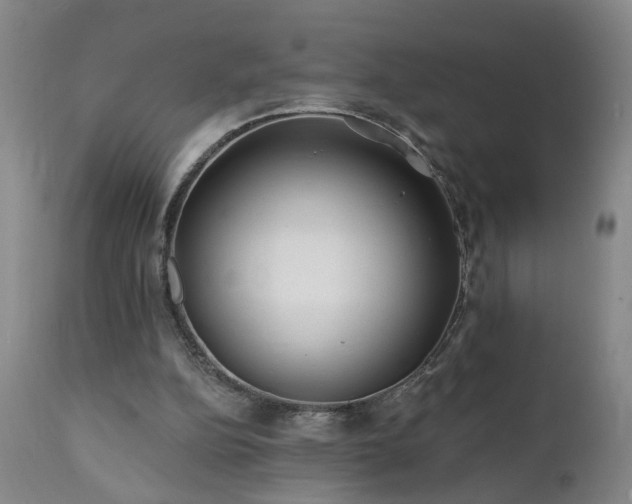 X0000112060152200908041223