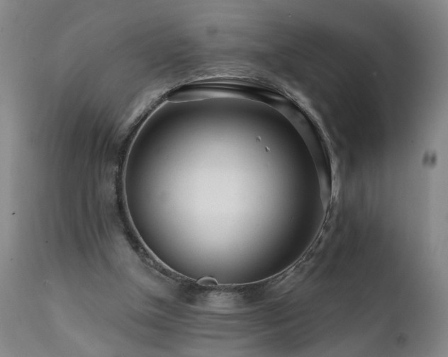 X0000112060154200908041223