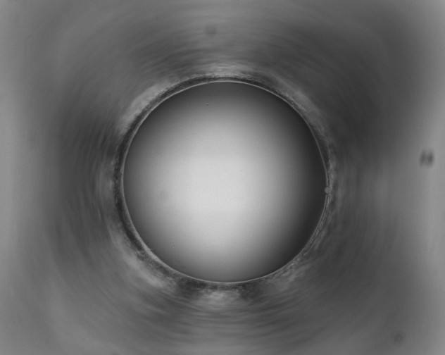 X0000112060155200908041223