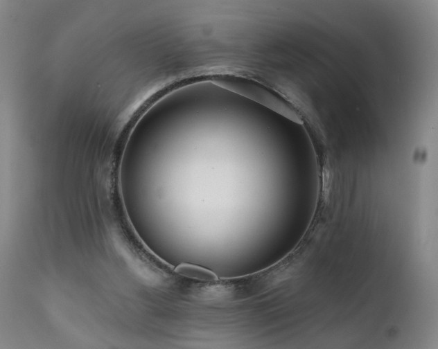 X0000112060156200908041223