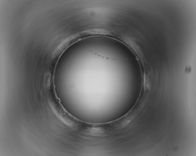X0000112060157200908041223