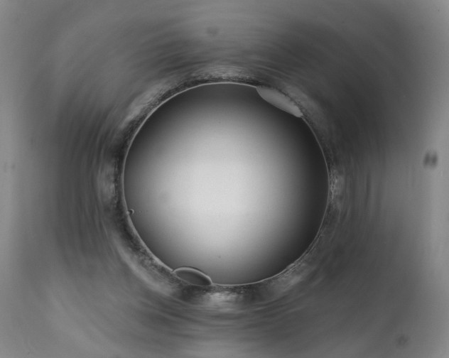 X0000112060158200908041223