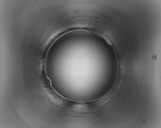 X0000112060160200908041223