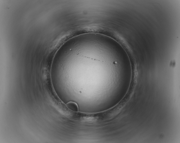 X0000112060161200908041223
