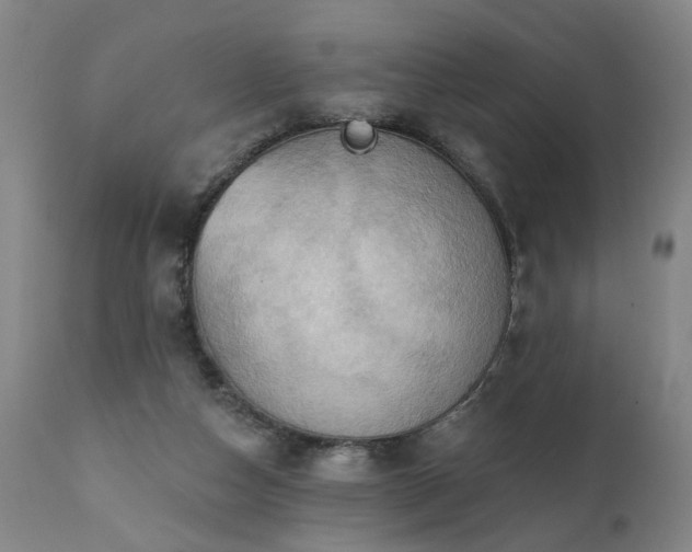 X0000112060162200908041223