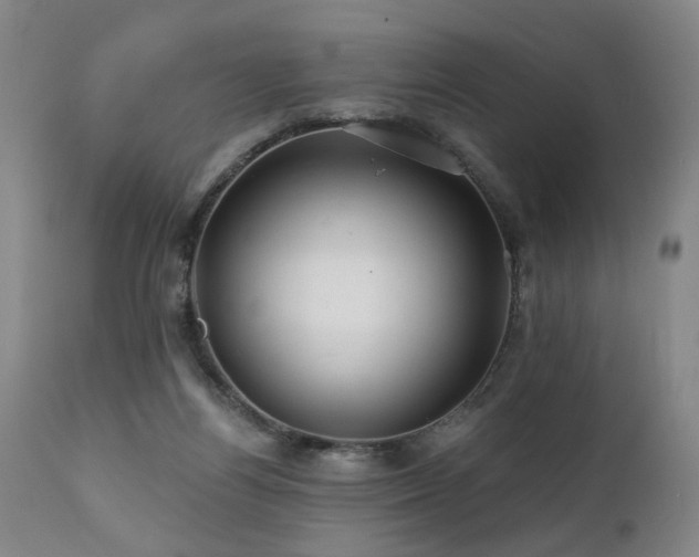 X0000112060164200908041223