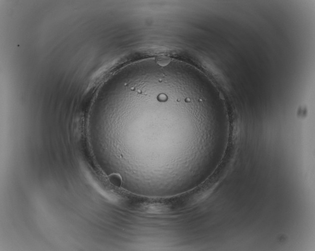 X0000112060165200908041223