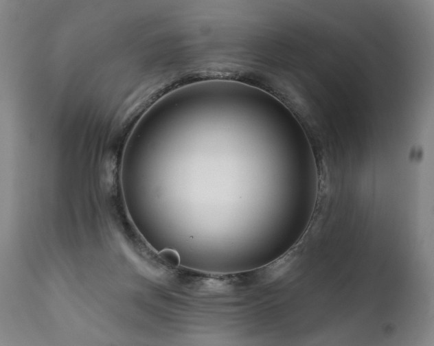 X0000112060166200908041223