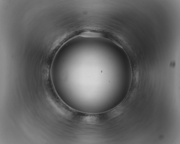X0000112060168200908041223