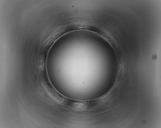 X0000112060170200908041223