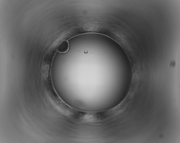 X0000112060171200908041223