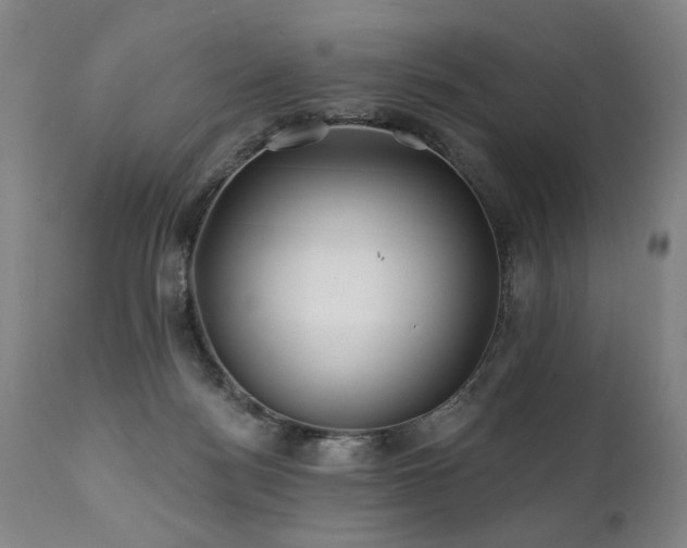 X0000112060172200908041223