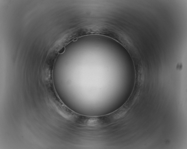 X0000112060173200908041223