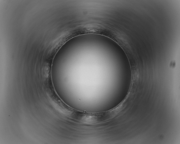 X0000112060174200908041223
