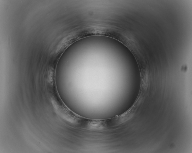 X0000112060175200908041223