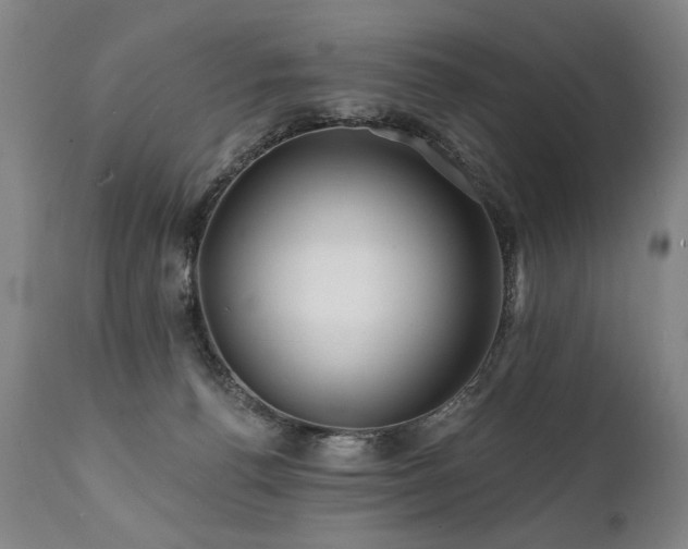 X0000112060176200908041223