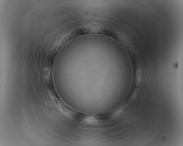 X0000112060177200908041223