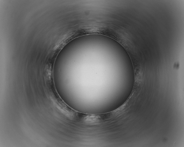 X0000112060179200908041223