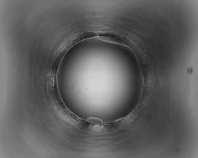 X0000112060180200908041223