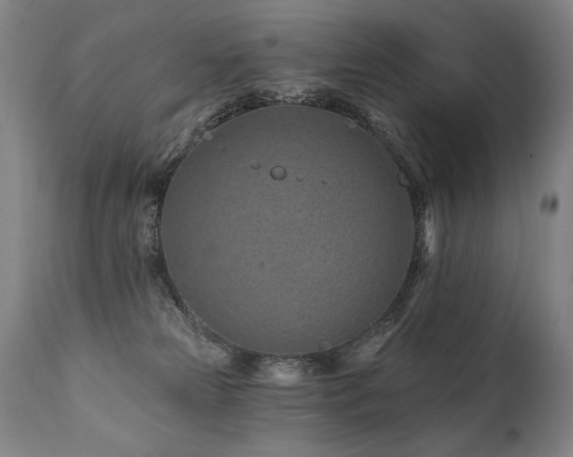 X0000112060181200908041223