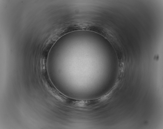 X0000112060182200908041223