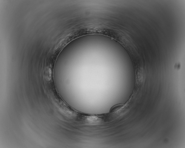 X0000112060183200908041223