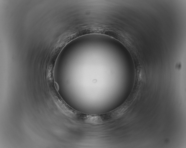 X0000112060185200908041223