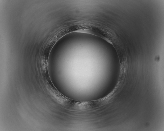 X0000112060186200908041223