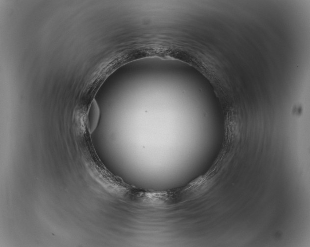 X0000112060188200908041223