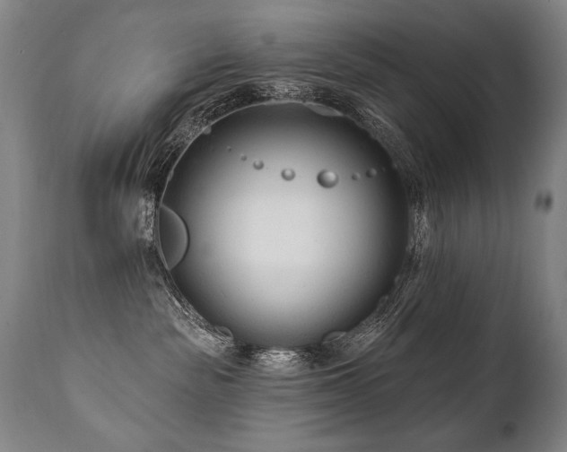 X0000112060189200908041223