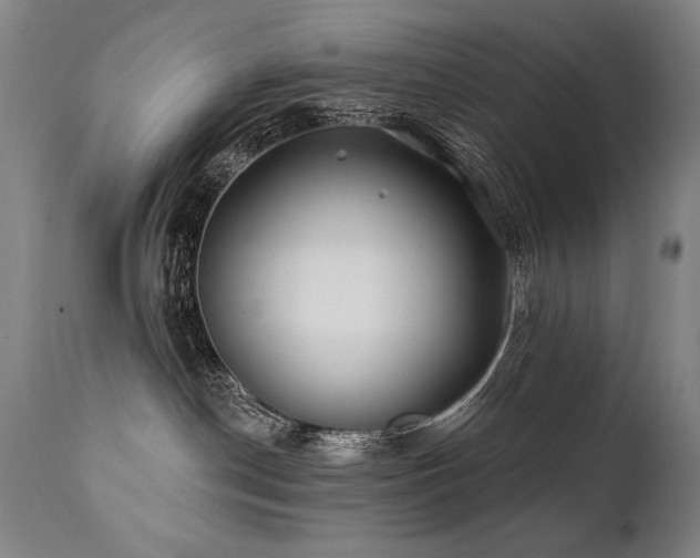 X0000112060190200908041223