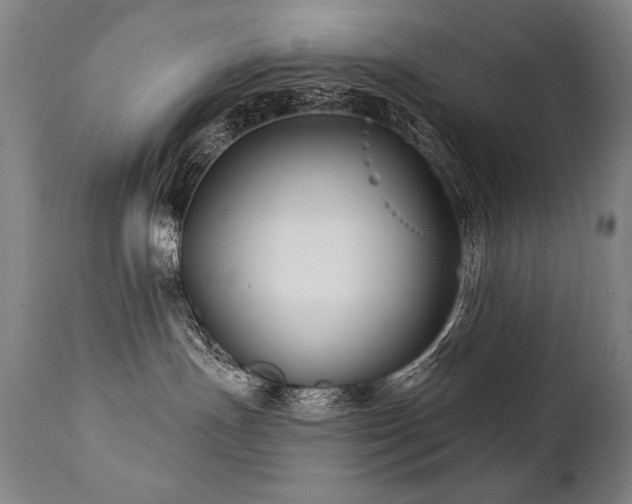 X0000112060191200908041223