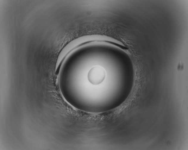 X0000112060192200908041223