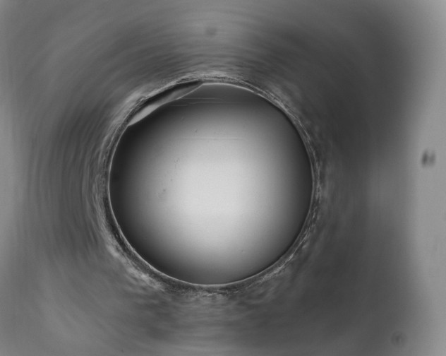 X0000112060193200908041223