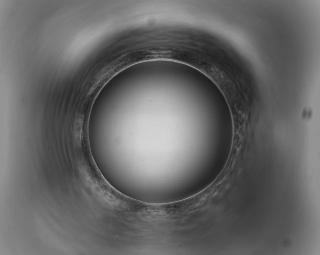X0000112060194200908041223