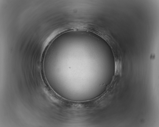 X0000112060195200908041223