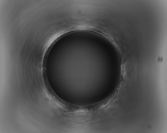 X0000112060196200908041223