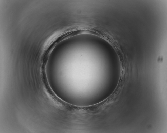 X0000112060197200908041223