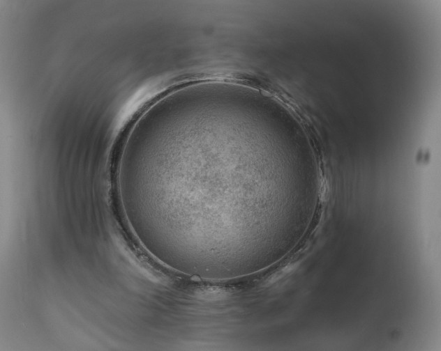 X0000112060198200908041223