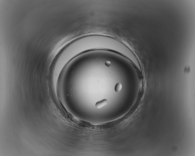 X0000112060199200908041222