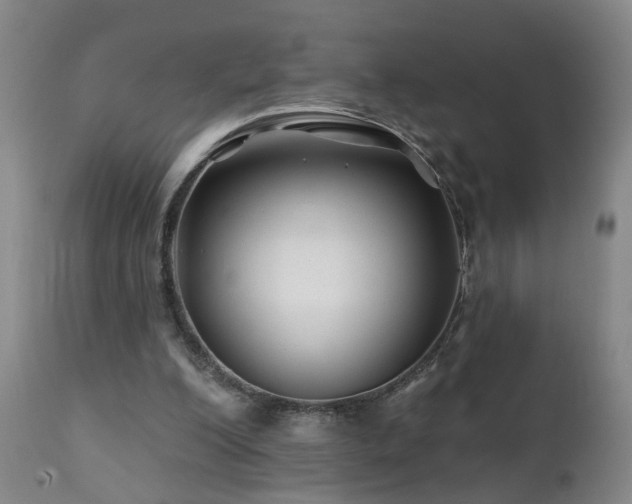 X0000112060200200908041222