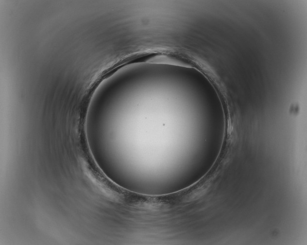 X0000112060201200908041222