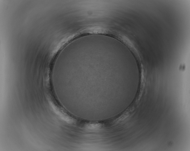 X0000112060202200908041222