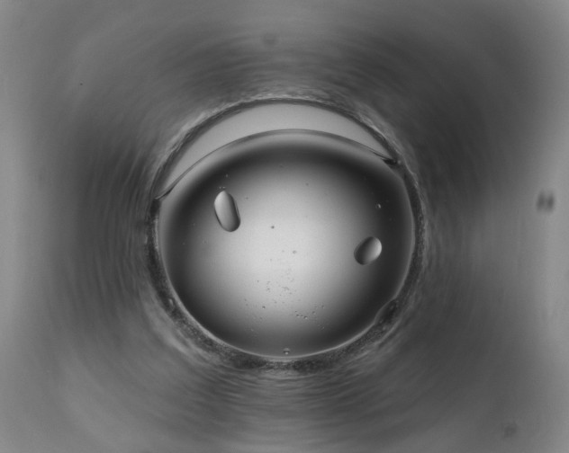 X0000112060203200908041222