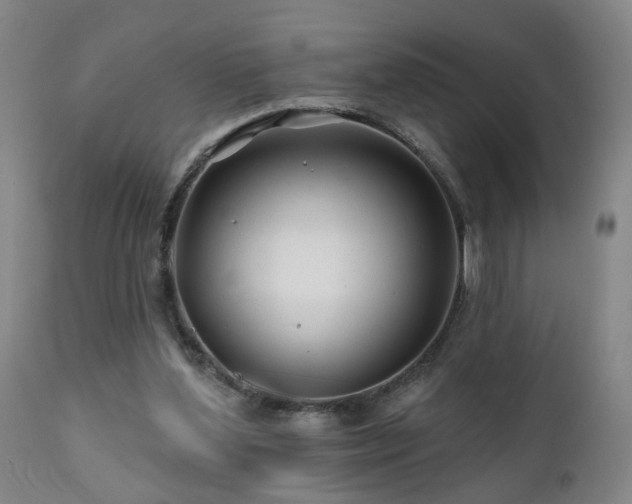 X0000112060204200908041222