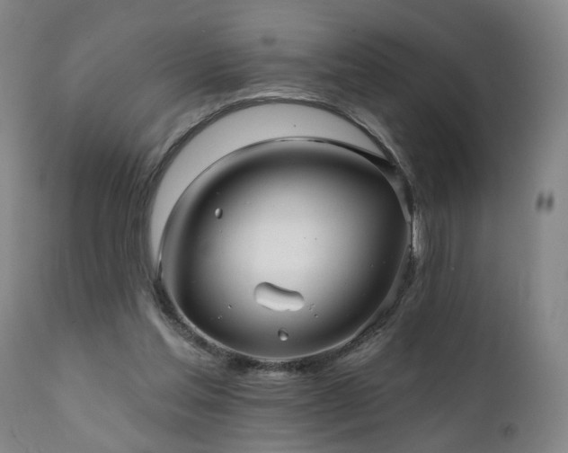X0000112060205200908041222