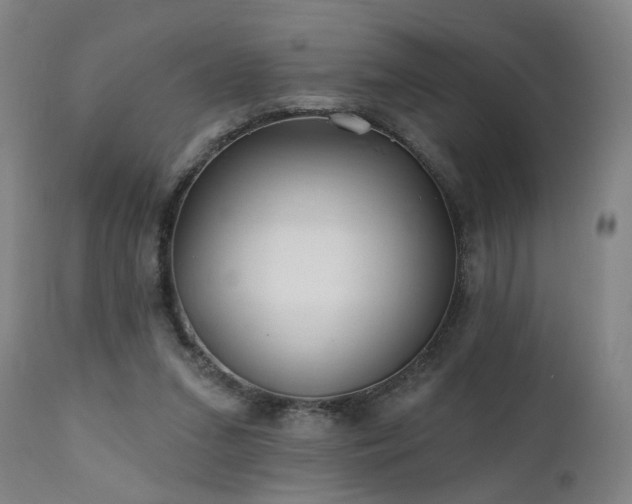 X0000112060207200908041222