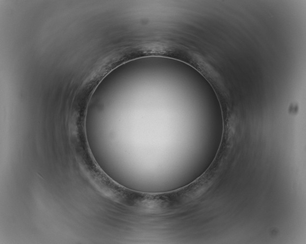 X0000112060209200908041222